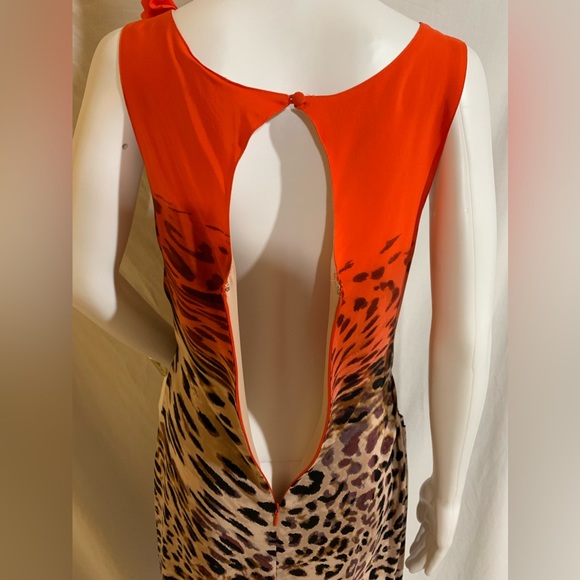Yoanna Baraschi Anthropologie EUC Animal print silk dress with back zip, size 8 - Picture 5 of 12